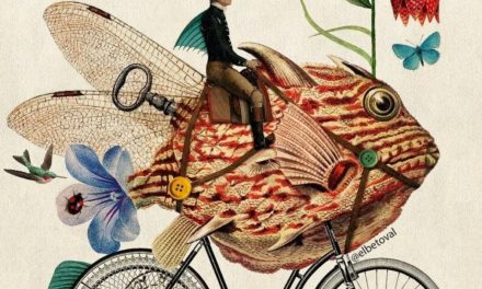 Nvidia is the Fish that Learned to Drive a Bicycle