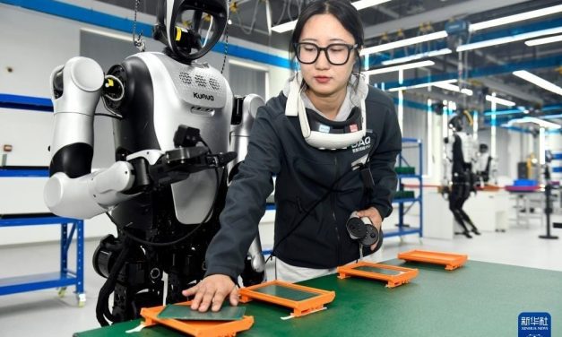 The State of Chinese Physical AI